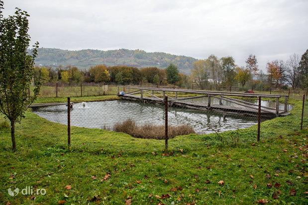 pastravaria-din-ieud-judetul-maramures-2.jpg