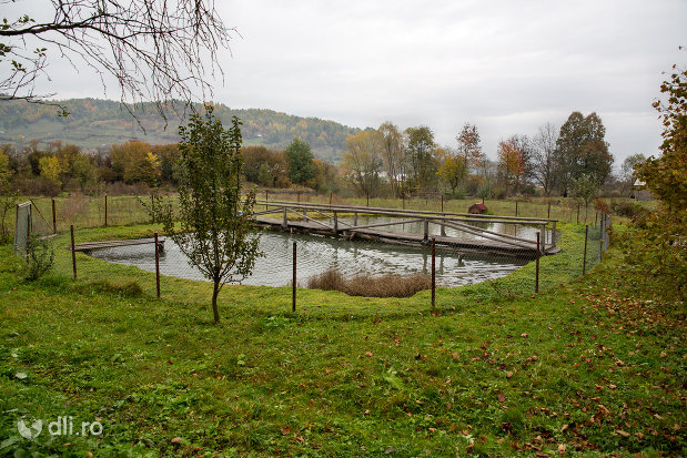 pastravaria-din-ieud-judetul-maramures.jpg