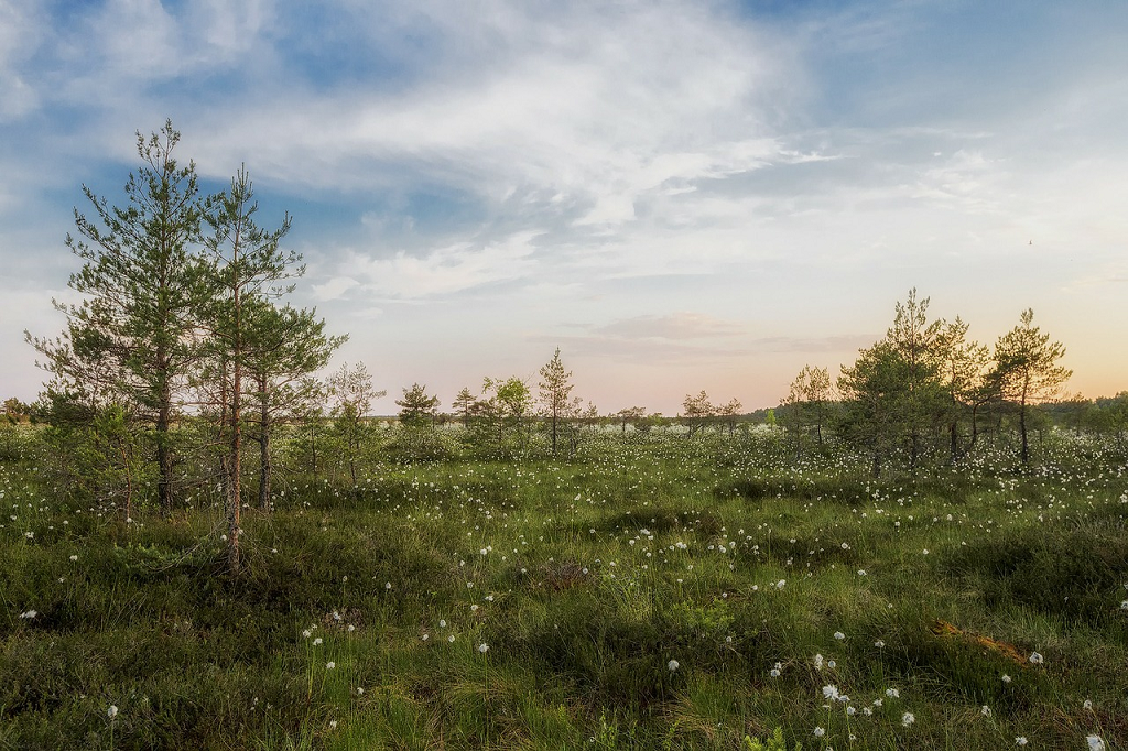 peisaj Estonia