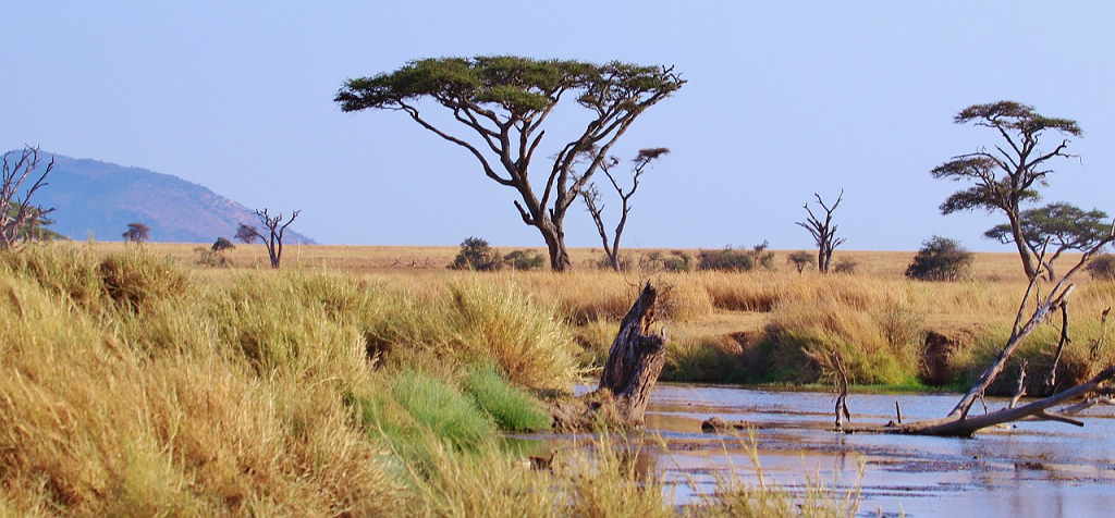 peisaj Tanzania