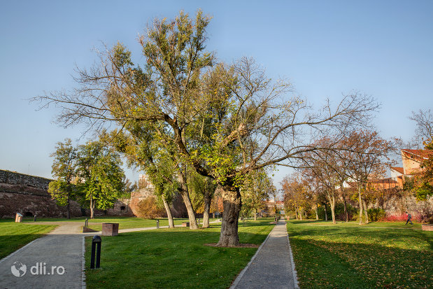 peisaj-de-toamna-parcul-dendrologic-din-oradea-judetul-bihor.jpg