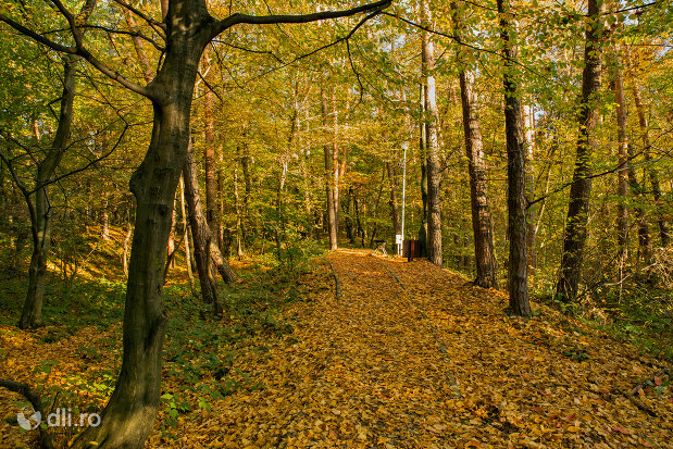 peisaj-de-toamna-trasee-montane-pe-muntele-meses-din-zalau.jpg