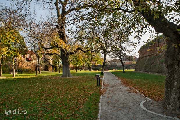 peisaj-din-parcul-dendrologic-din-oradea-judetul-bihor.jpg