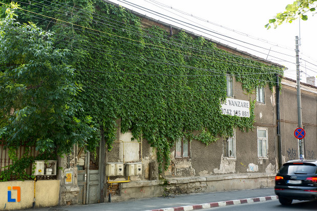 perete-cu-iedera-casa-dr-nicolae-alexandrescu-din-galati-judetul-galati.jpg