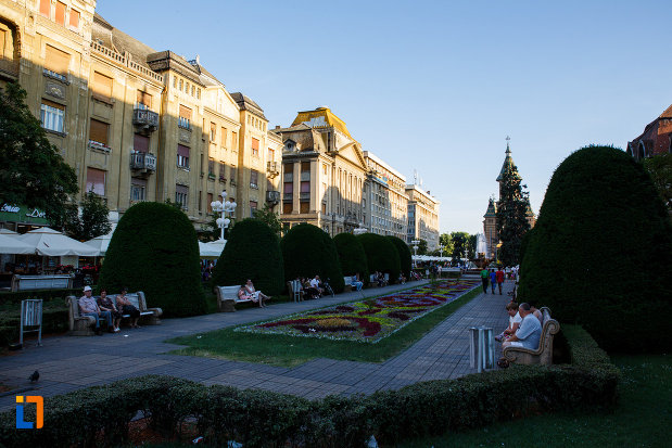 piata-victoriei-din-timisoara-judetul-timis-partea-stanga.jpg