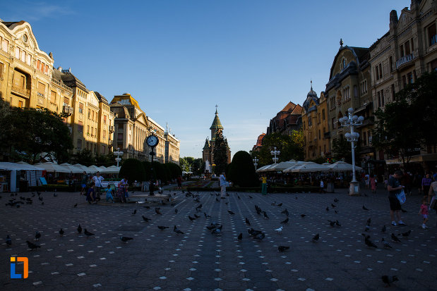 piata-victoriei-din-timisoara-judetul-timis-plina-cu-porumbei.jpg