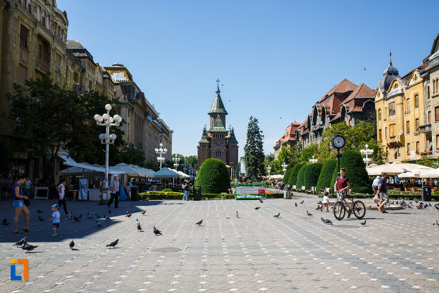 piata-victoriei-din-timisoara-judetul-timis-printre-porumbei.jpg