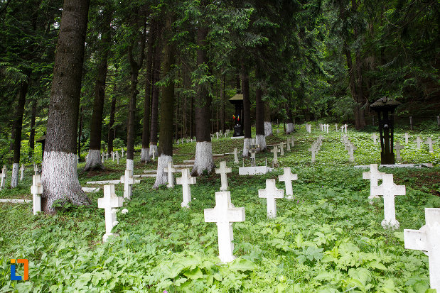 pietre-funerare-din-cimitirul-eroilor-din-azuga-judetul-prahova.jpg