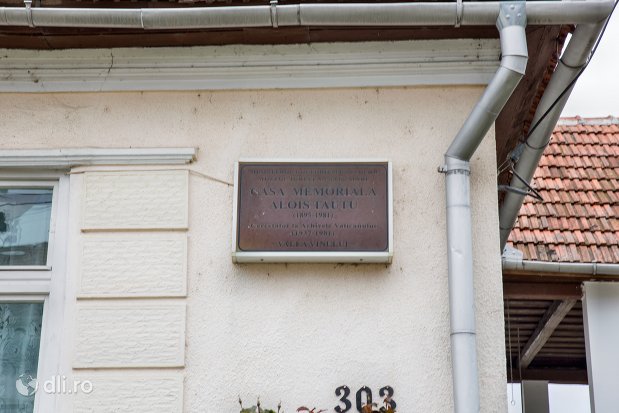 placuta-de-la-casa-memoriala-alois-tautu-din-valea-vinului-judetul-satu-mare.jpg
