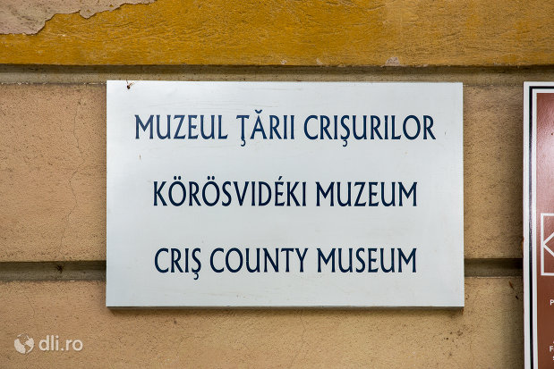 placuta-pe-palatul-episcopal-romano-catolic-azi-muzeul-tarii-crisurilor-din-oradea-judetul-bihor.jpg