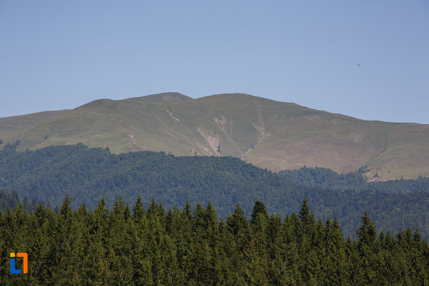 platou-muntos-vazut-din-statiunea-busteni-judetul-prahova.jpg