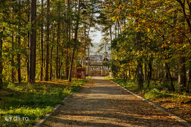 poarta-de-intrare-spre-trasee-montane-pe-muntele-meses-din-zalau.jpg