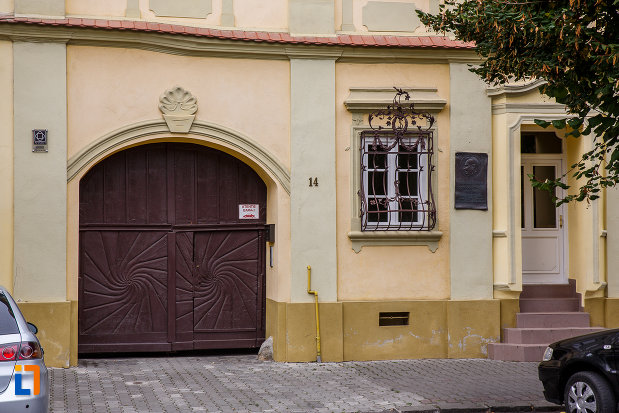 poarta-de-lemn-de-la-casa-schuster-din-medias-judetul-sibiu.jpg