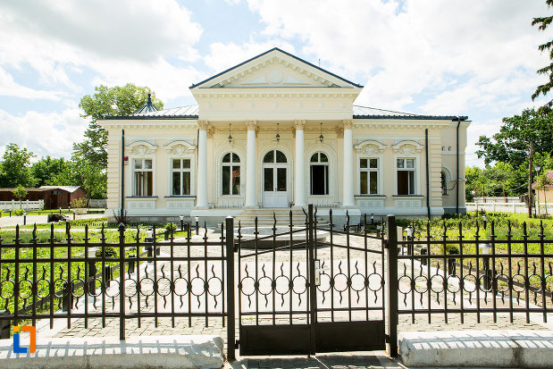 poarta-si-gard-de-la-casa-teodor-cincu-azi-muzeul-mixt-din-tecuci-judetul-galati.jpg