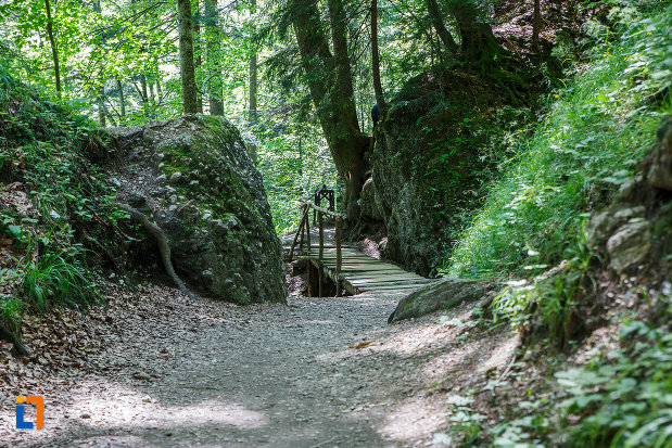 pod-din-lemn-traseul-spre-cascada-urlatoarea-din-busteni-judetul-prahova.jpg