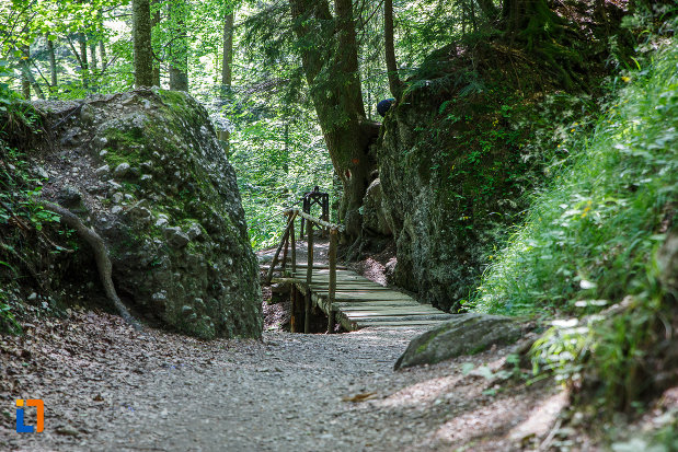 pod-peste-parau-traseul-spre-cascada-urlatoarea-din-busteni-judetul-prahova.jpg