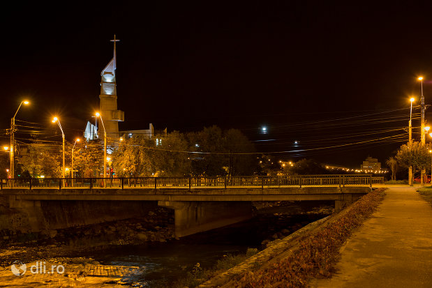 pod-peste-sasar-orasul-baia-mare-judetul-maramures.jpg