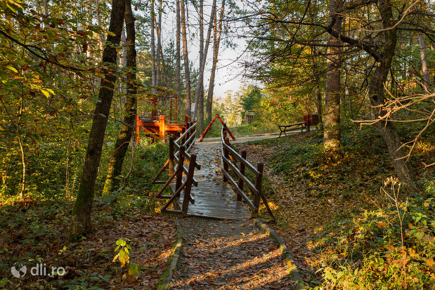 podet-din-lemn-trasee-montane-pe-muntele-meses-din-zalau.jpg