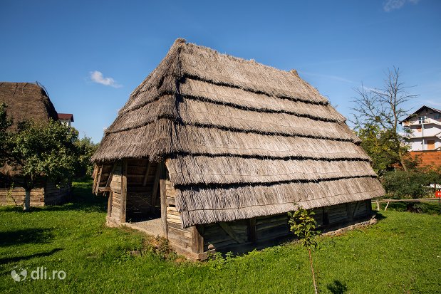 poiata-din-lemn-muzeul-satului-osenesc-din-negresti-oas-judetul-satu-mare.jpg