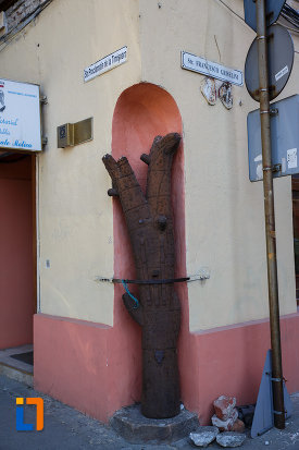 pomul-de-la-casa-cu-pomul-breslelor-din-timisoara-judetul-timis.jpg