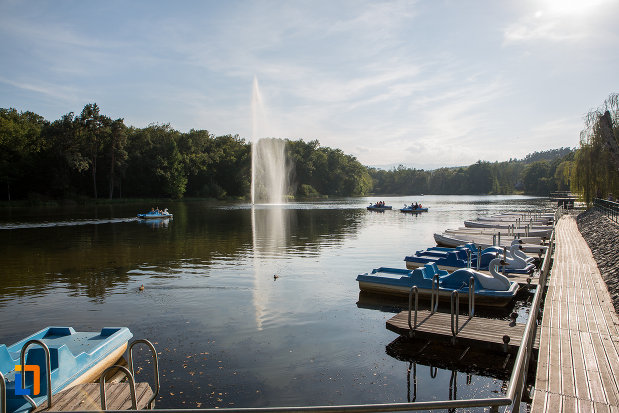 posibilitate-de-plimbare-cu-barca-pe-lac-gradina-zoologica-din-sibiu-judetul-sibiu.jpg