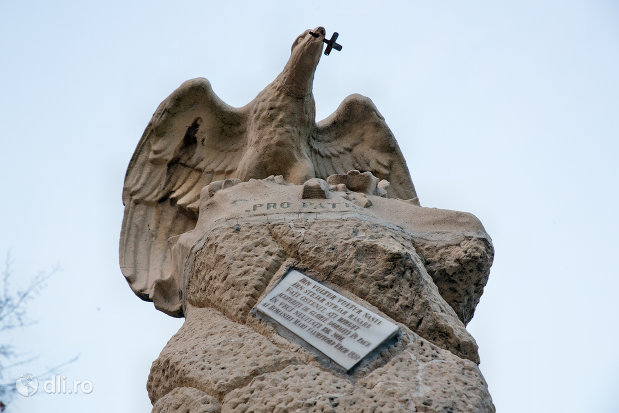 prim-plan-cu-monumentul-eroilor-cazuti-in-primul-razboi-mondial-din-oradea-judetul-bihor.jpg