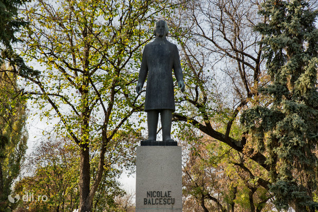 prim-plan-cu-statuia-lui-nicolae-balcescu-din-oradea-judetul-bihor.jpg