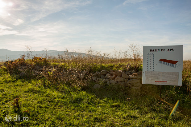 ramasite-din-bazinul-de-apa-orasul-porolissum-din-moigrad-judetul-salaj.jpg
