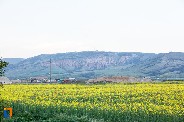 rezervatia-naturala-rapa-rosie-din-sebes-judetul-alba.jpg