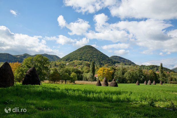 rezervatia-naturala-tinoavele-din-camarzana-judetul-satu-mare.jpg