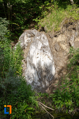 sarea-ce-se-zareste-la-suprafata-lacul-ursu-din-sovata-judetul-mures.jpg