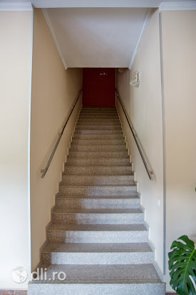 scari-de-interior-complex-lacul-lui-pintea-judetul-satu-mare.jpg