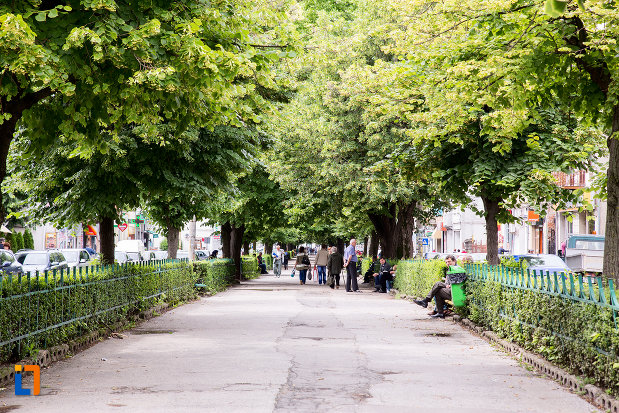 spatiu-verde-din-orasul-campulung-muscel-judetul-arges.jpg