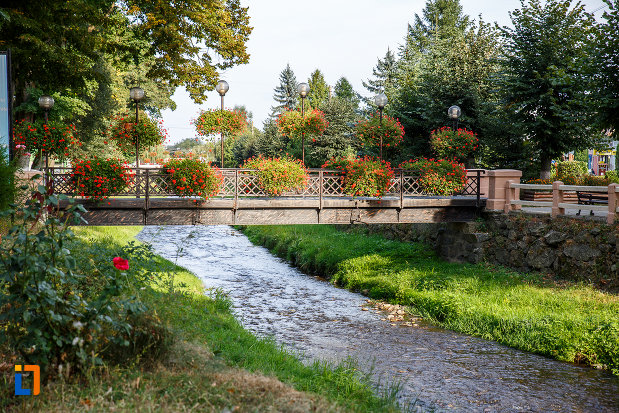 spatiu-verde-din-orasul-saliste-judetul-sibiu.jpg