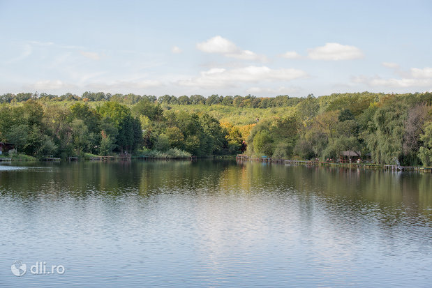 spatiu-verde-langa-lacul-mujdeni-judetul-satu-mare.jpg