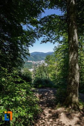 statiunea-busteni-traseul-spre-cascada-urlatoarea-din-busteni-judetul-prahova.jpg