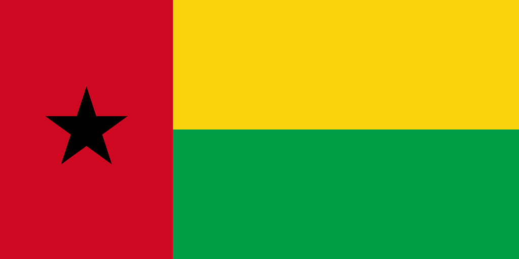 steag Guinea Bissau