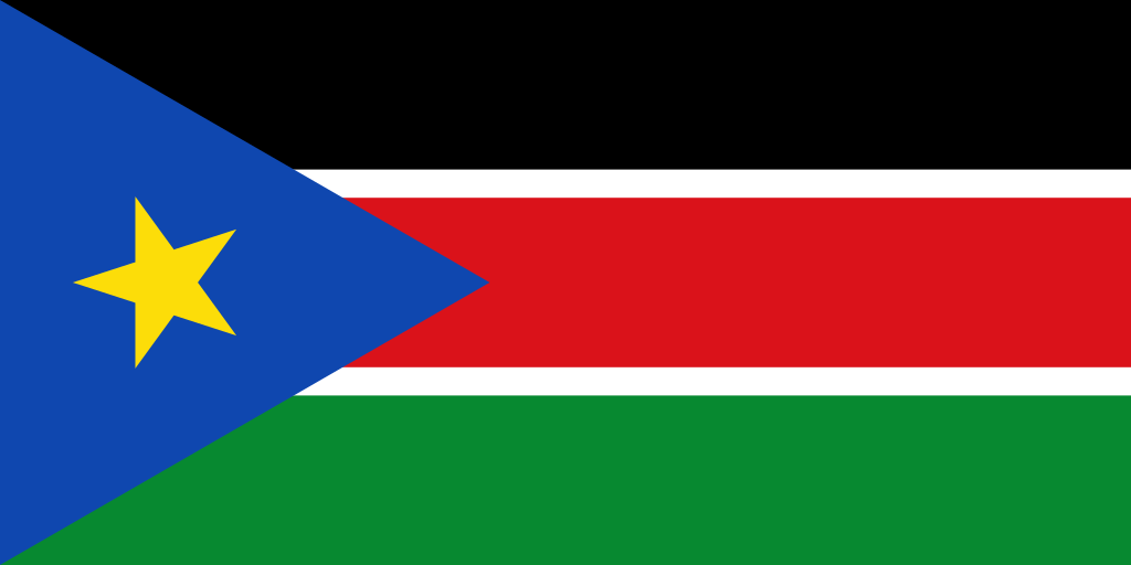 steag Sudanul de Sud