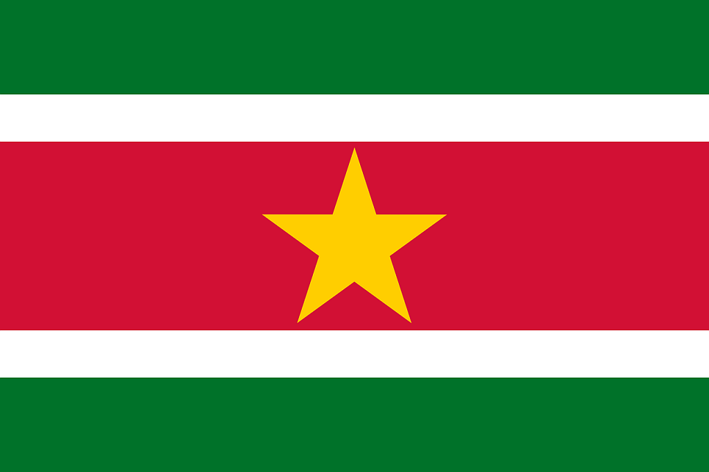 steag Suriname