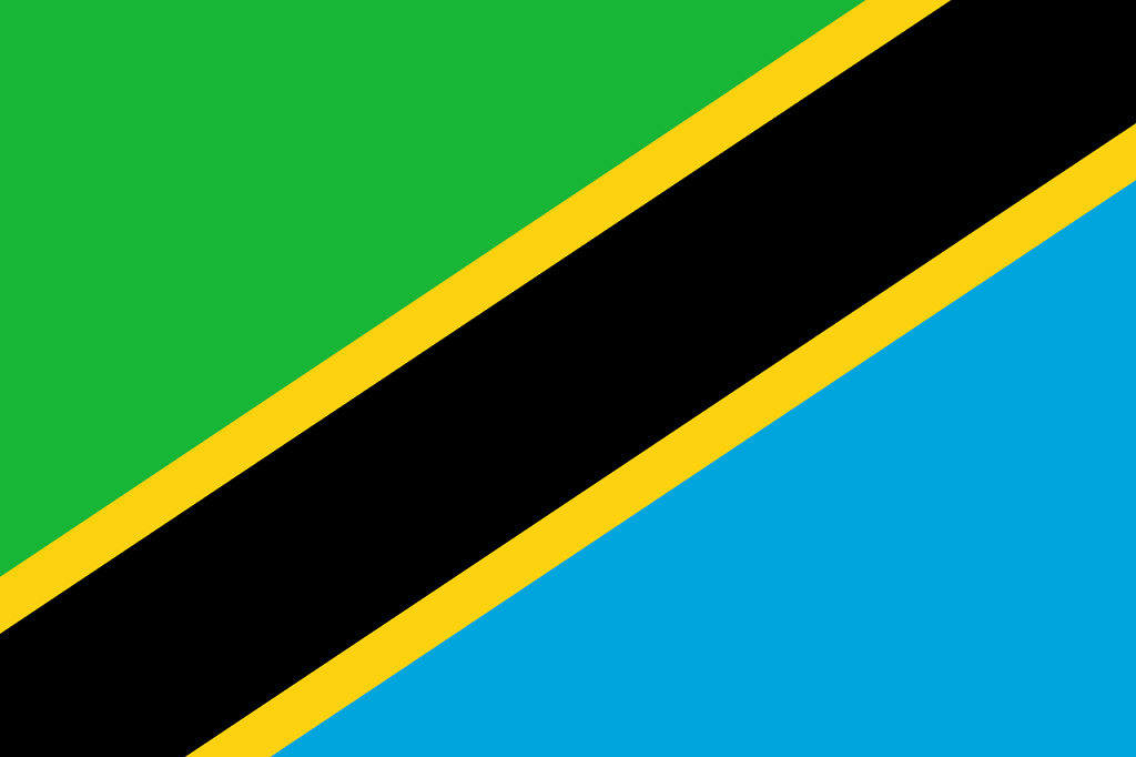 steag Tanzania