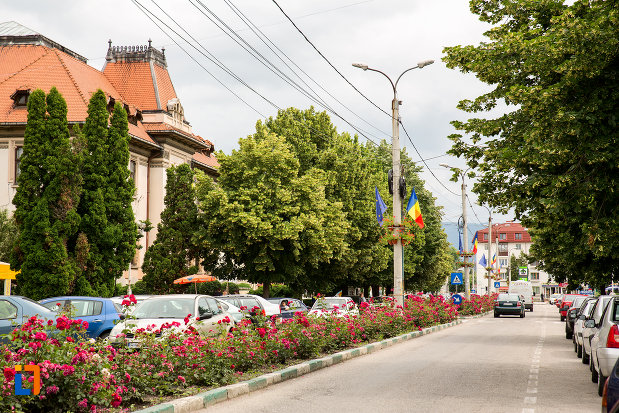 strada-cu-flori-si-copaci-orasul-campulung-muscel-judetul-arges.jpg