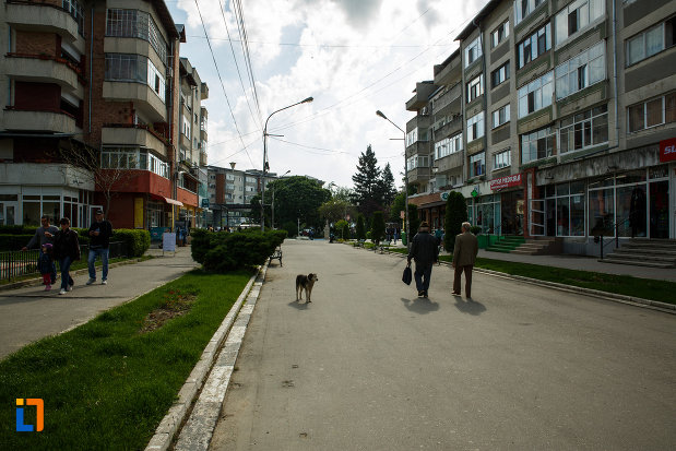 strada-din-orasul-dragasani-judetul-valcea.jpg