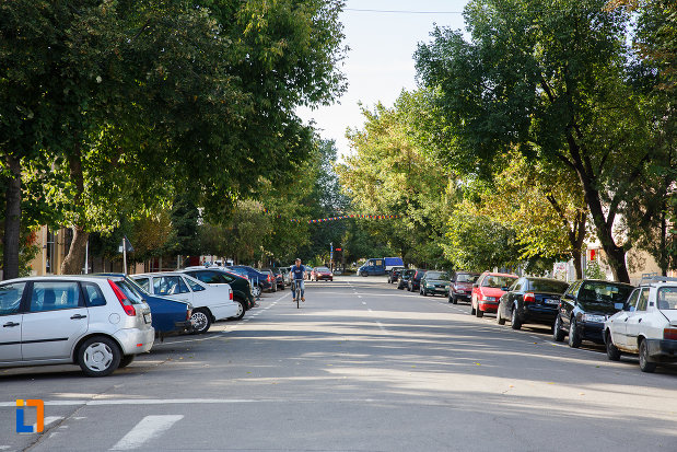 strada-din-orasul-mizil-judetul-prahova.jpg