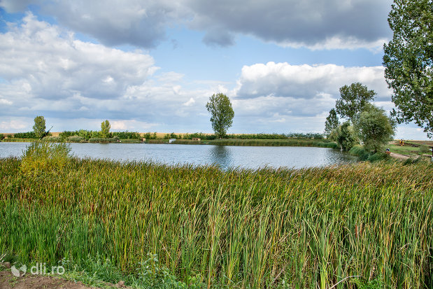 stufaris-pe-malul-lacului-ianculesti-judetul-satu-mare.jpg