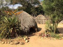 swaziland country