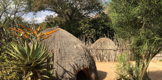 Swaziland : Țări de vizitat swaziland country