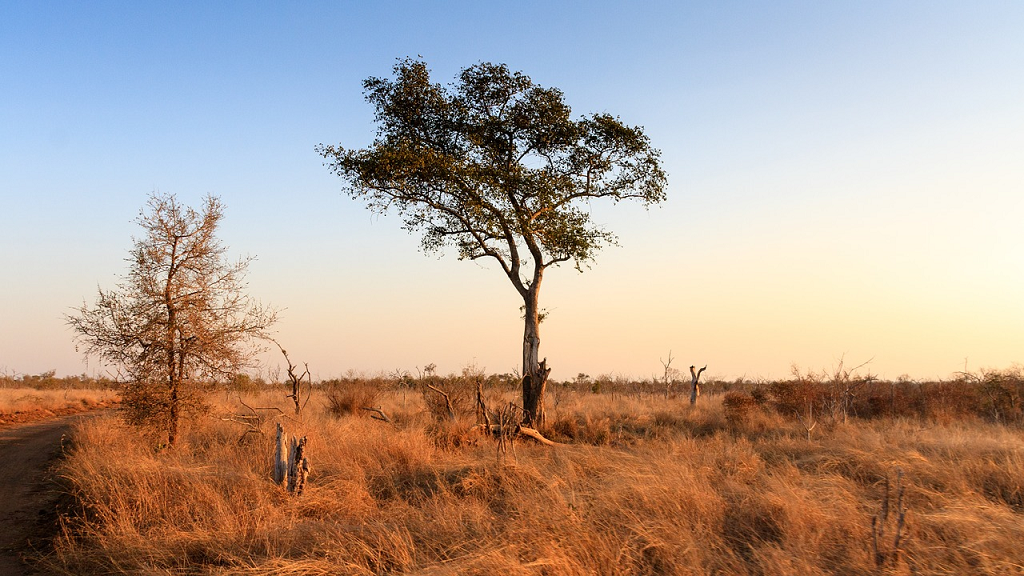 Swaziland