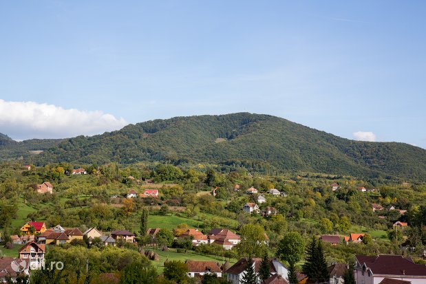 tinutul-rezervatia-naturala-tinoavele-din-camarzana-judetul-satu-mare.jpg