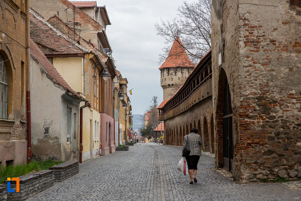 turnul-dulgherilor-din-sibiu-judetul-sibiu-vazut-din-departare.jpg