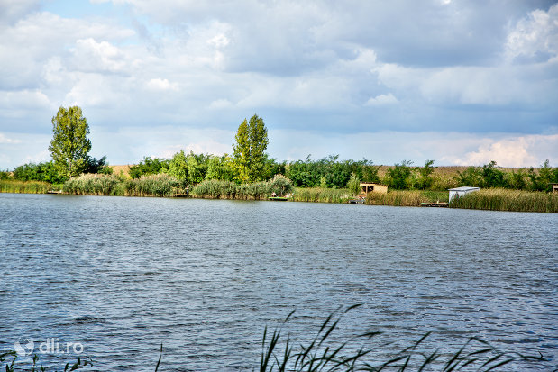 vedere-asupra-lacului-ianculesti-judetul-satu-mare.jpg